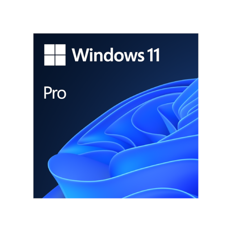 MICROSOFT WINDOWS 11 PROFESSIONAL 64-bit
